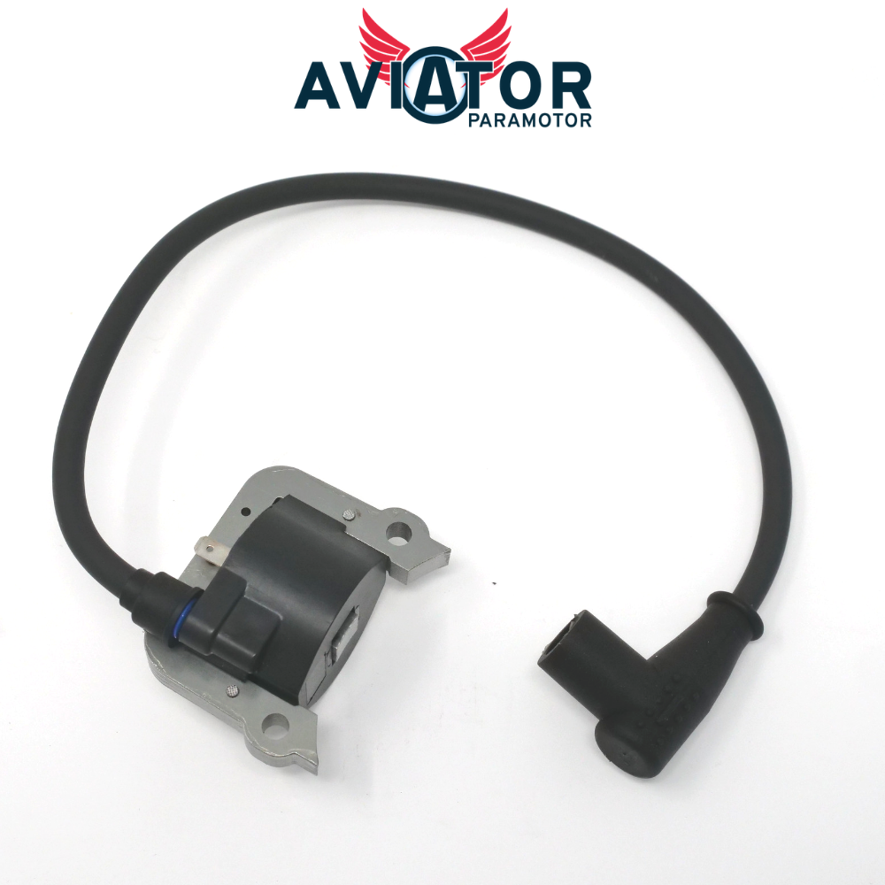 Electronic Ignition Coil with Spark Plug Cap for Atom 80