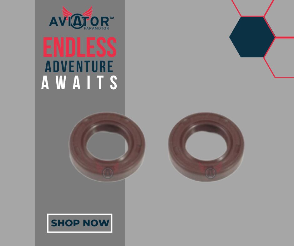 M006 Vittorazi Oil Seals set of 2 Atom 80 Moster 185