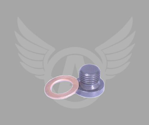 Reduction Bolt Cap and Copper Washer F160