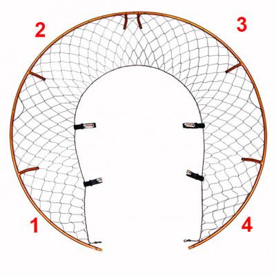 Eclipse Hoop Sections