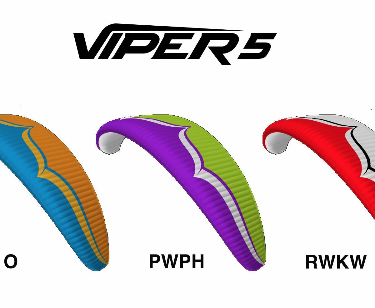 Ozone Viper 5 EN-DGAC Glider