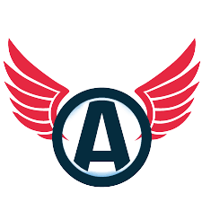 Aviator PPG logo 2 removebg preview