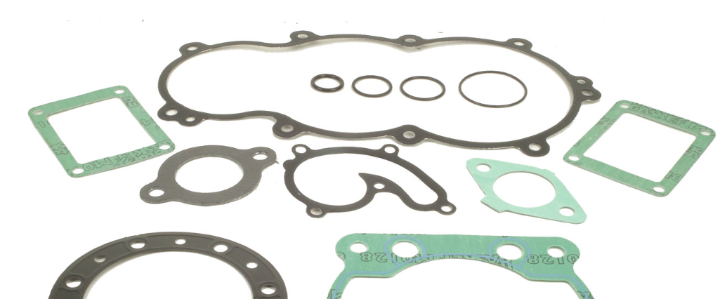 C025 Complete Series of Gasket & O-Rings | Cosmos 300